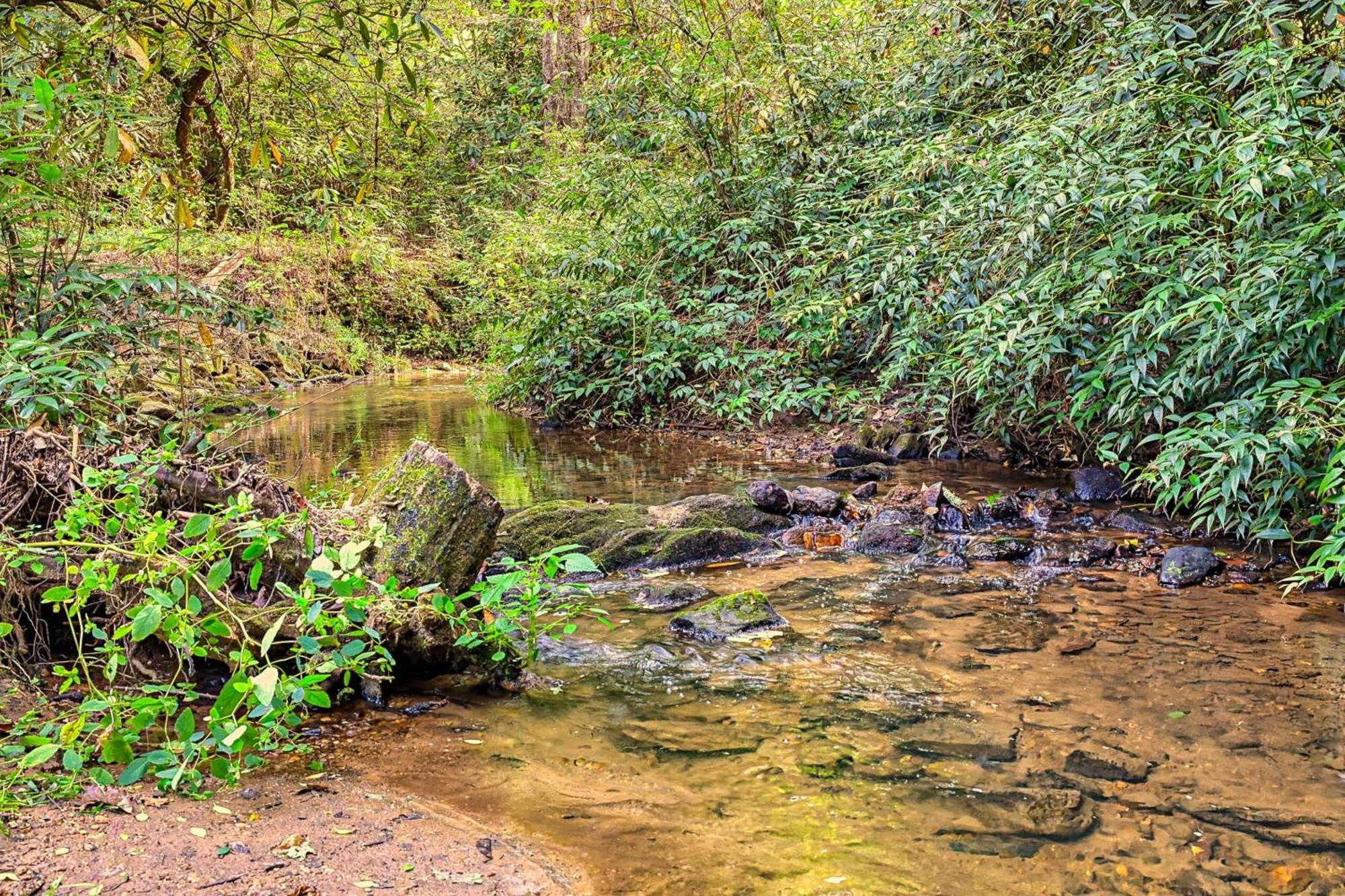 فيلا Laurel Creek هيلين المظهر الخارجي الصورة